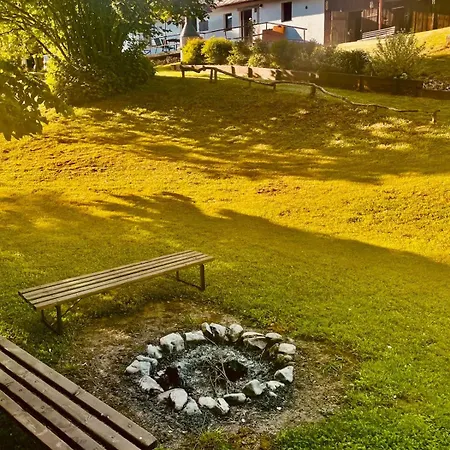 Klidná Chaloupka U Lesa V Orlických Horách *